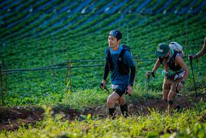 BIB: 
                            <button type="button" onclick="openModal(19160205)" class="btn btn-primary btn-sm float-right btn-popup" data-toggle="modal" data-target=".modal-high-quality">
                        <i class="fas fa-shopping-cart"></i> Add to Cart
                    </button>
                                            <button type="button" onclick="isThisMe(19160205, true)" class="btn btn-success btn-sm float-right btn-popup btn-isme hidden" data-toggle="tooltip" data-placement="bottom" title="นี่คือรูปของคุณใช่ไหม คลิกที่นี่เพื่อเอาเข้าอัลบั้ม">
                        <i class="fas fa-plus"></i> Add to album
                    </button>
                    <button type="button" onclick="isThisMe(19160205, false)" class="btn btn-warning btn-sm float-right btn-popup btn-isnotme hidden">
                        <i class="fas fa-ban"></i> Remove from album
                    </button>